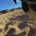 gopro-fetch-3