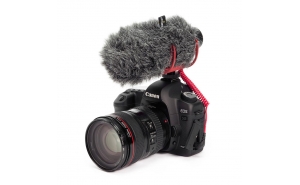 Rode VideoMic GO