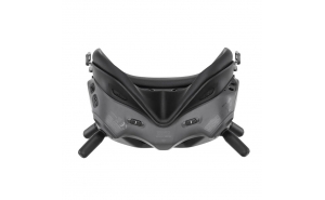 DJI FPV Goggles V2