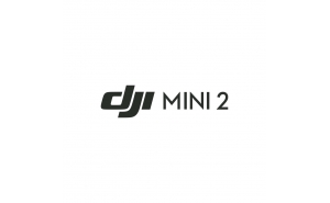 DJI Mini 2 + Video corso in omaggio