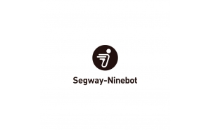 NineBot by SegWay KickScooter E22E