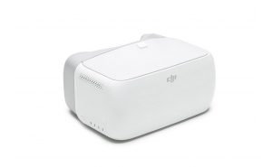 DJI Goggles