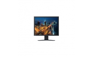 Eizo S2133 Monitor Flexscan Nero