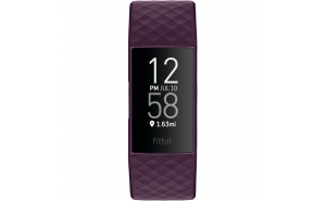 Fitbit Charge 4 Prugna