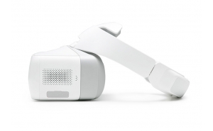 DJI Goggles