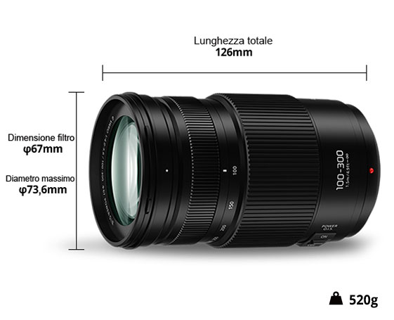 Panasonic LUMIX G VARIO 100-300 mm